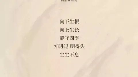 红牌重罚维尼修斯禁赛4场，无缘参加国家德比盛宴